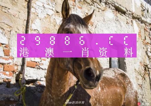 揭秘王中王資料，一肖正特馬的奧秘，揭秘王中王資料與一肖正特馬的神秘面紗