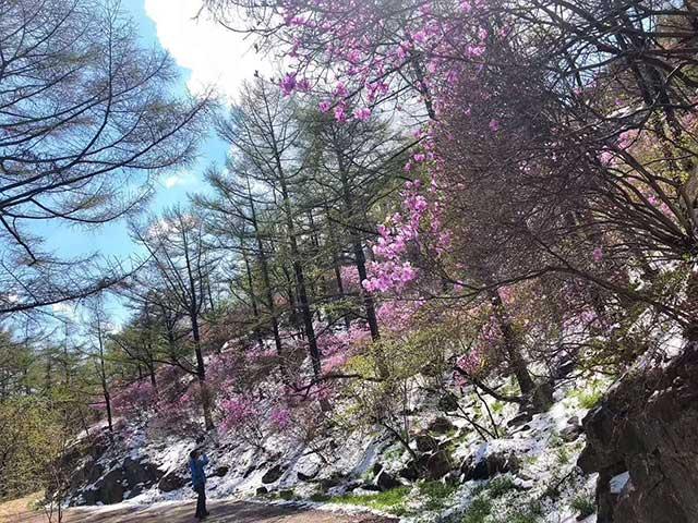 即墨天氣預報，掌握天氣變化，助力生活安排，即墨天氣預報，掌握天氣變化，智能規劃生活