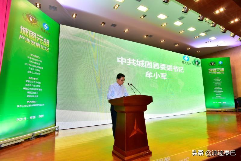 元胡的功效與作用，揭示傳統草藥的神奇療效，元胡的神奇療效，功效與作用探究