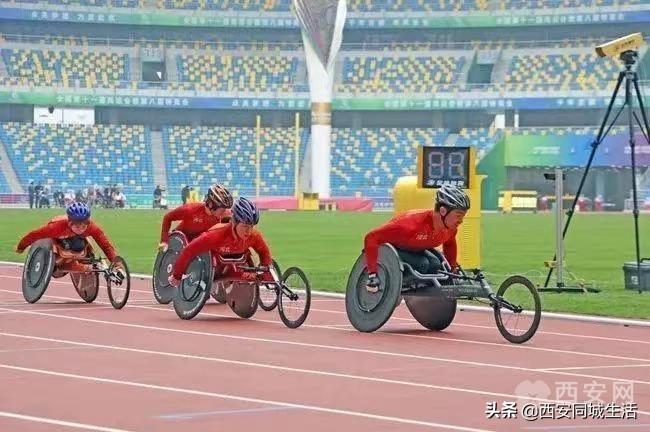 探索澳門未來，2025新澳門正版免費(fèi)資本車展望，澳門未來展望，2025資本車正版免費(fèi)探索之旅