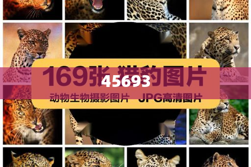 7777888888精準新管家
