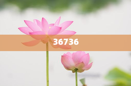 揭秘7777788888精準新傳真，真相大揭秘，揭秘精準新傳真背后的真相，77777與88888的神秘面紗被揭開