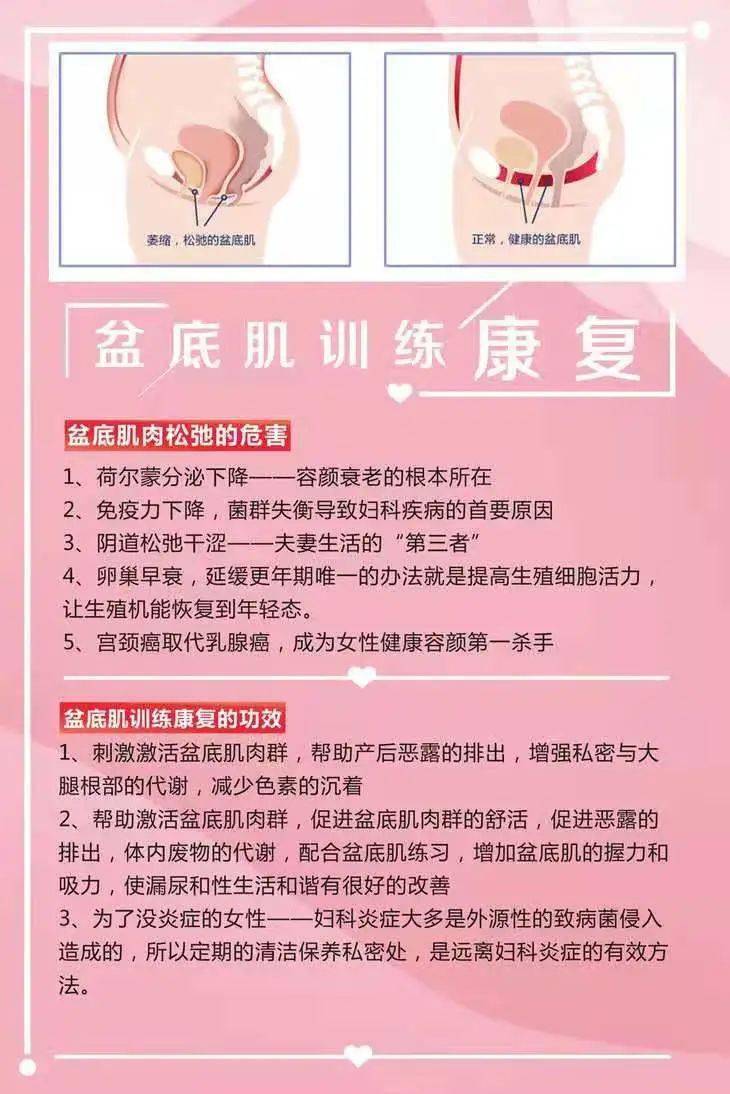 盆底肌修復的最佳方法，全面解析與實用指南，盆底肌修復全攻略，實用方法與指南解析