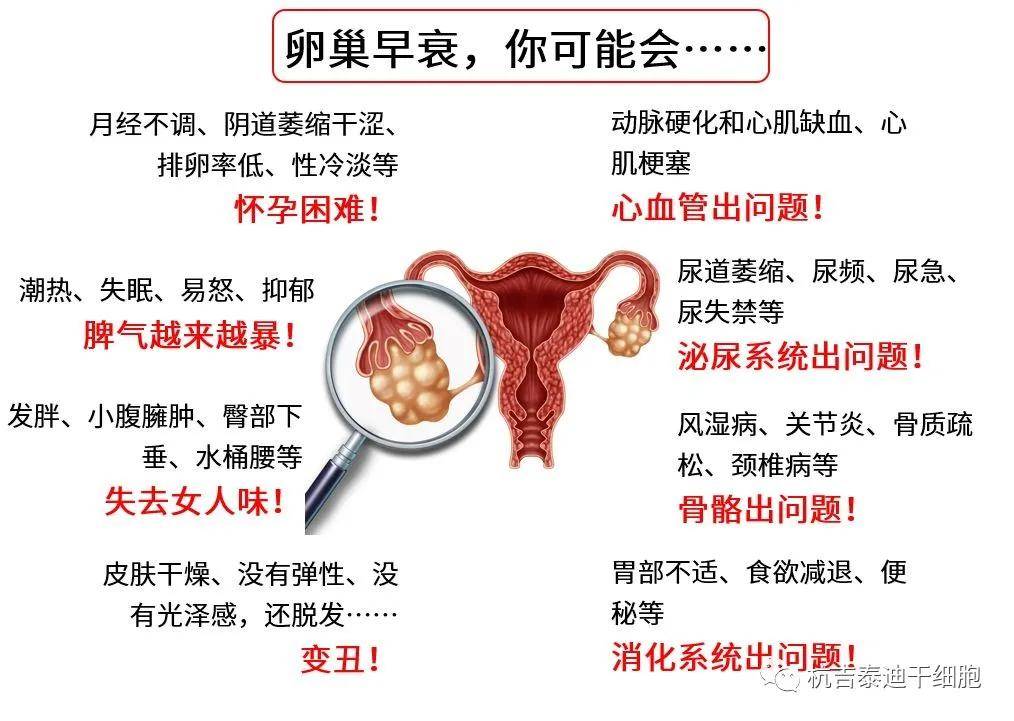 四十歲卵巢早衰能否調(diào)整回來？解讀卵巢早衰與應(yīng)對策略，四十歲卵巢早衰能否調(diào)整回來？解讀卵巢早衰現(xiàn)象及應(yīng)對策略