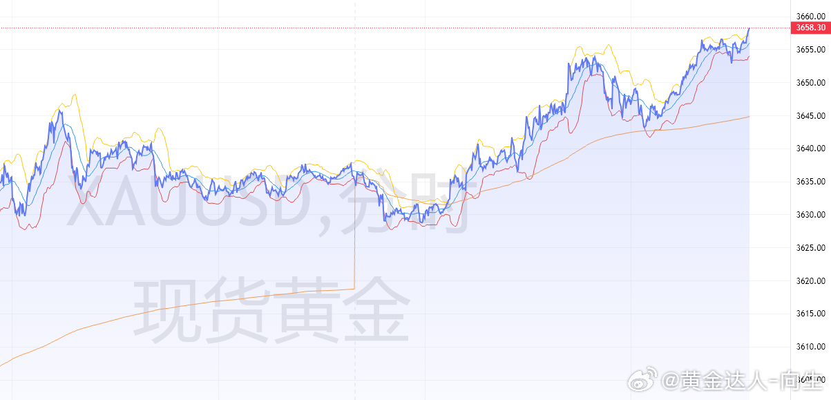 黃金行情走勢圖，深度解析與預測，黃金行情走勢深度解析與預測圖發布