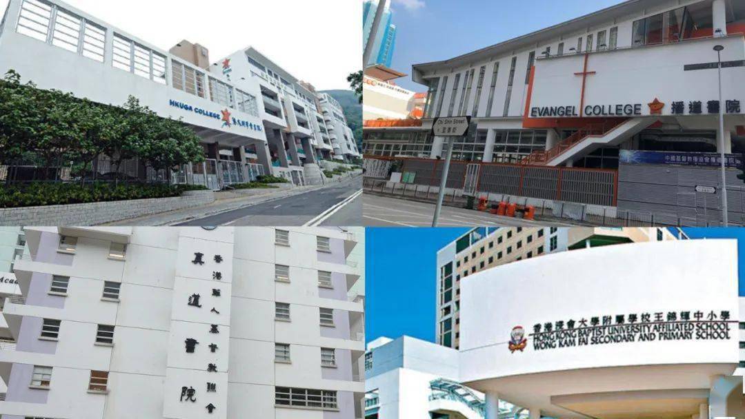 香港免費公開資料大全，探索無盡的資源寶庫，香港免費公開資料寶庫，無盡資源探索之旅