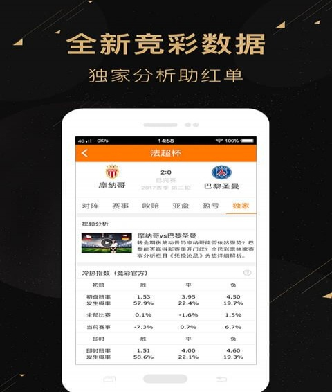 二肖二碼，深度解析與SEO優化策略，二肖二碼深度解析與SEO優化策略探討