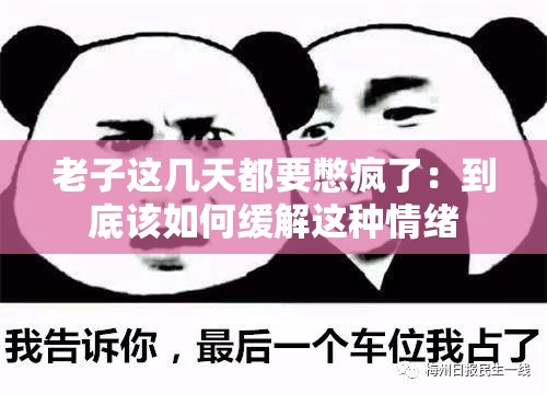 老子這幾天都要憋瘋了——探索心理壓力的釋放與生活的平衡，心理壓力釋放與生活平衡之道，探尋釋放壓力，恢復內心寧靜之道