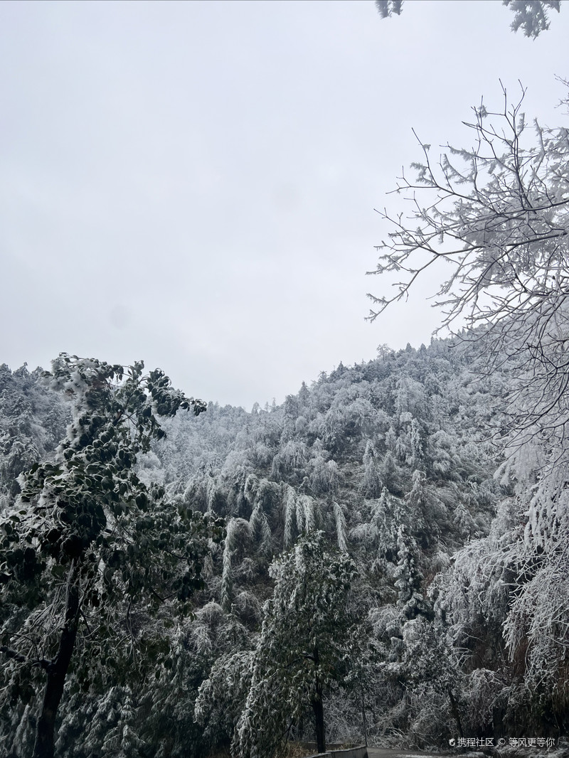 雪峰山國家森林公園，自然之美的瑰寶，雪峰山國家森林公園，自然之美的璀璨瑰寶