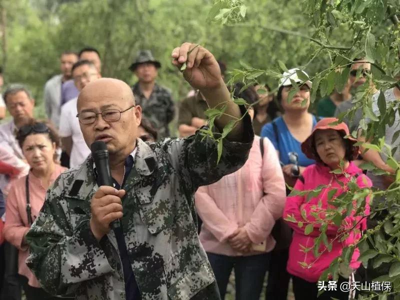 長期吃紅棗的潛在害處，了解并平衡飲食健康，長期食用紅棗的潛在風險與飲食平衡的重要性