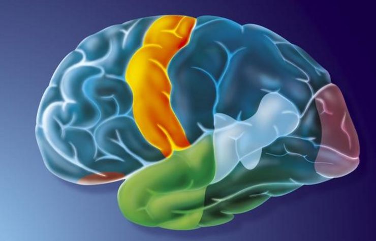 腦神經衰弱最好的治療方法，全面解析與個性化護理方案，腦神經衰弱最佳治療法，全面解析與個性化護理策略