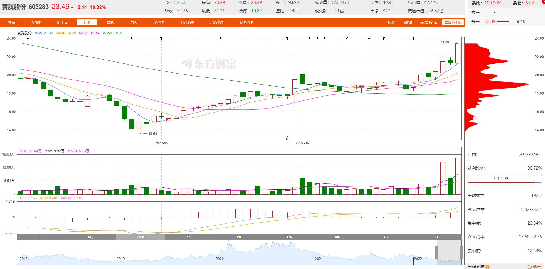 關于股票603283的全面解析與前景展望，股票603283深度解析與未來前景展望