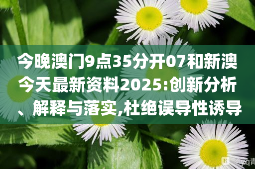 新澳今天最新資料，深度解讀與探索，新澳今日深度解讀與探索最新資料