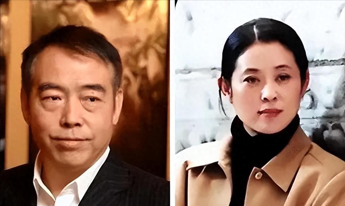 倪萍個(gè)人資料百科全書，一位才華橫溢的文藝界的璀璨明星，倪萍，文藝界的璀璨明星——個(gè)人資料百科全書