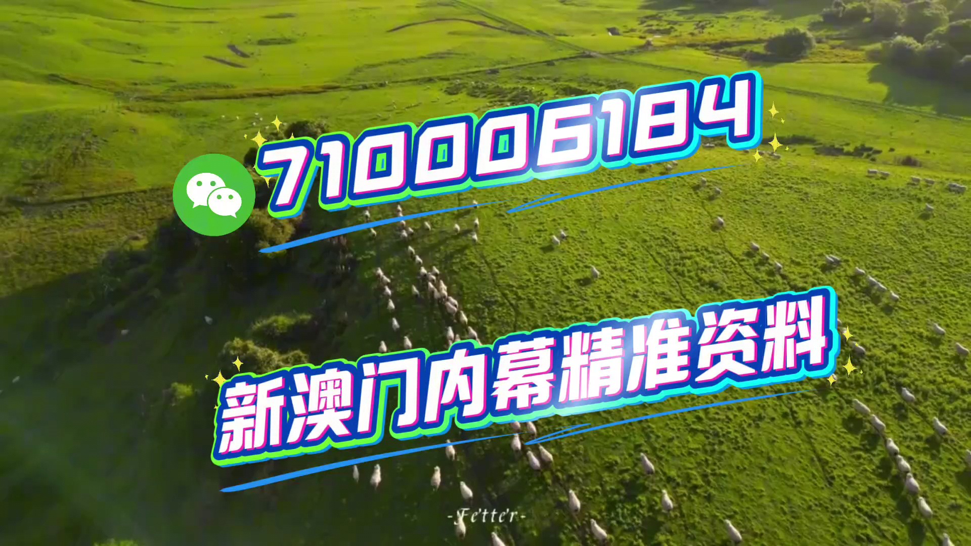 關于澳門特馬今晚開碼與未來的展望（2023年視角），澳門特馬未來展望，今晚開碼與未來趨勢分析（2023年視角）