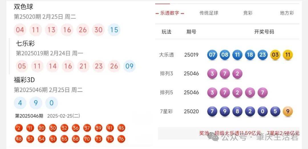 香港今晚開獎結果號碼是多少——揭秘彩票背后的秘密,揭秘彩票背后的秘密,香港今晚開獎結果號碼揭曉