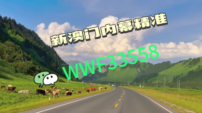 特馬王中王一肖一馬,探尋背后的故事與奧秘,特馬王中王一肖一馬,背后的故事與奧秘探尋