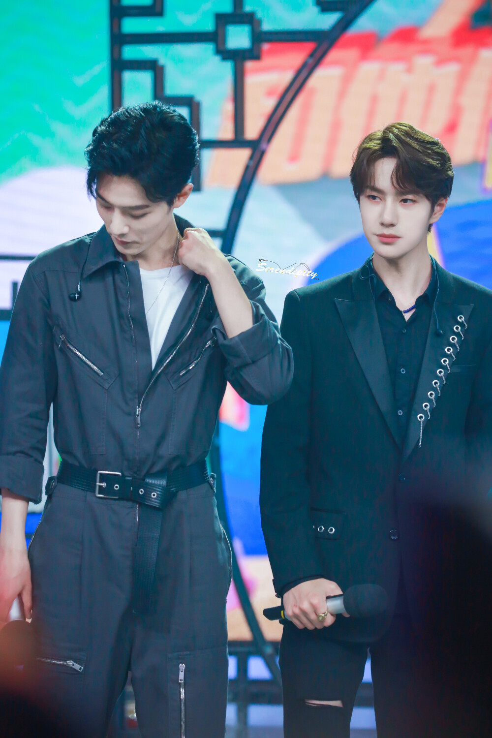 王中王一肖中特，探尋背后的故事與趨勢（2019年觀察），探尋王中王一肖背后的故事與趨勢，2019年觀察報告