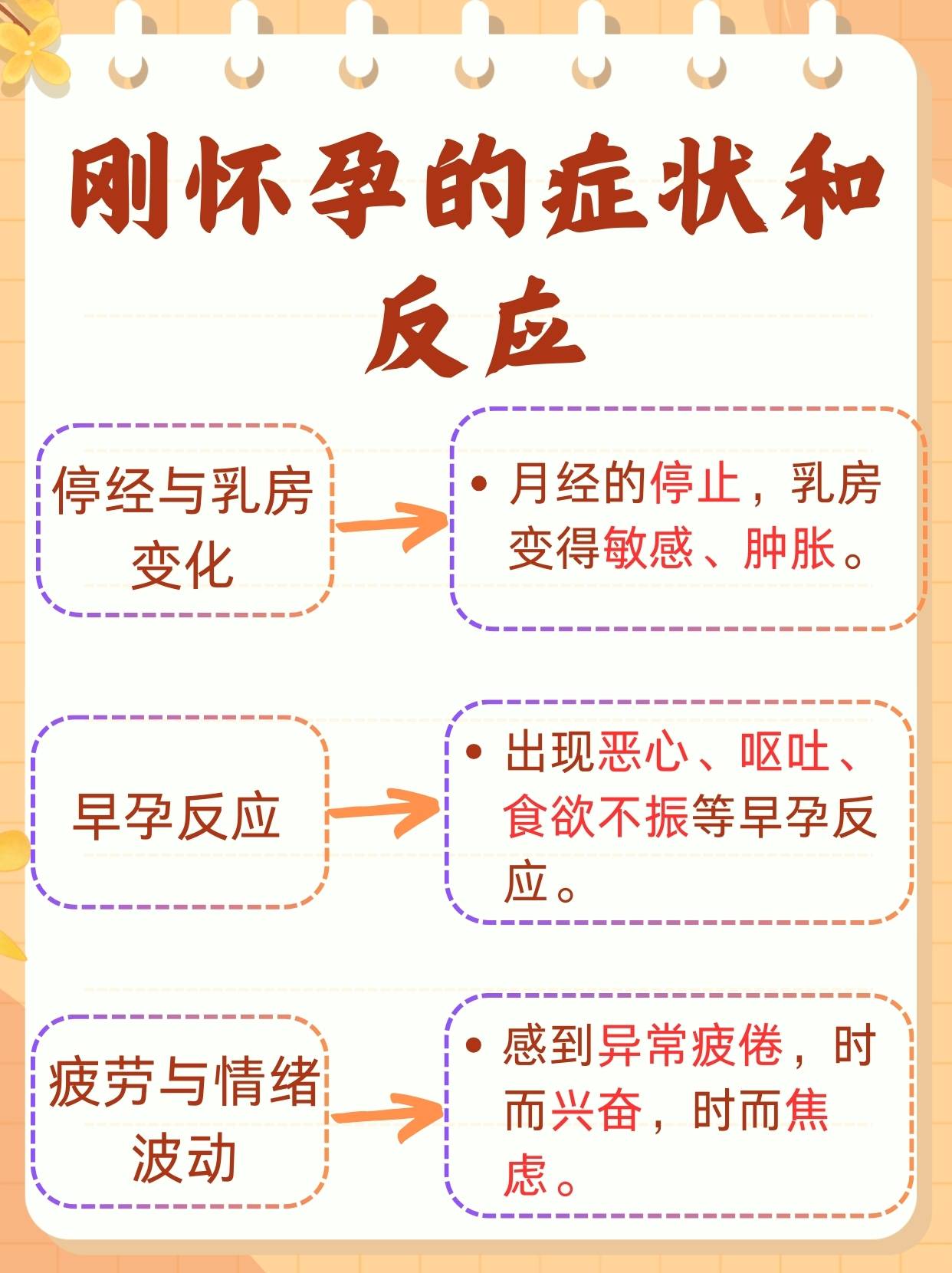 懷孕征兆解析,早期跡象與身體變化,懷孕早期征兆與身體變化解析