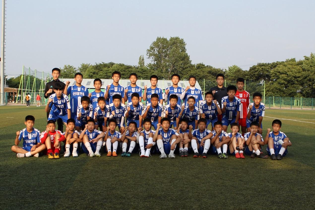 揭秘生肖之王——2009年王中王的傳奇一生,揭秘生肖之王,傳奇一生的王中王(2009年)