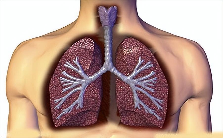 全面解析滑膜炎治療,如何根除病因,恢復健康,全面解析滑膜炎治療,根除病因,重塑健康之路