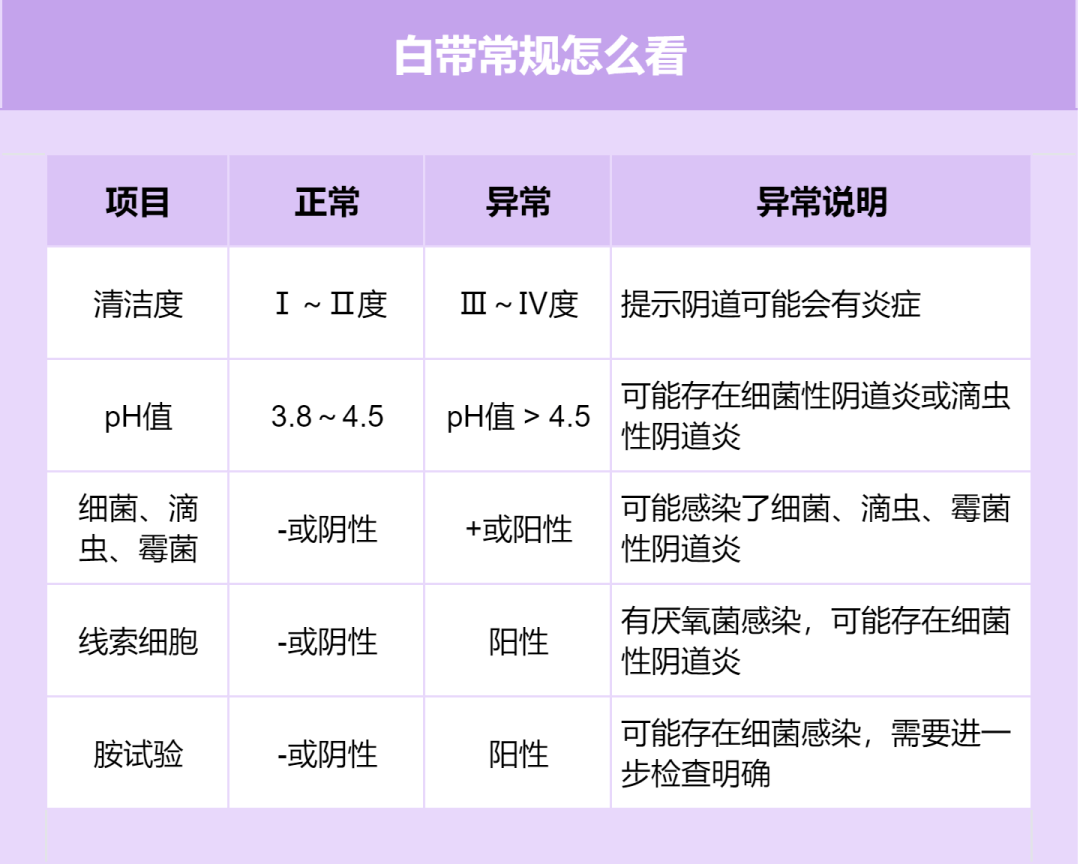 關(guān)于白帶,了解、關(guān)注與呵護(hù)女性健康的重要一環(huán),女性健康的關(guān)鍵,了解、關(guān)注與呵護(hù)白帶的重要性