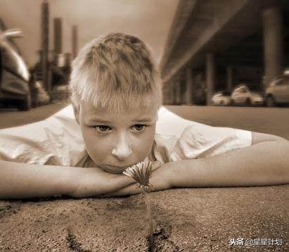 自閉癥患者的智力發展,一般智力停留在幾歲?解析與關注,自閉癥患者智力發展解析,停留在哪個年齡段?關注與解析