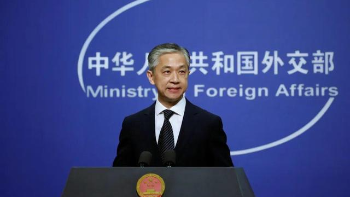 澳門四不像網,探索與解析,澳門四不像網深度探索與解析