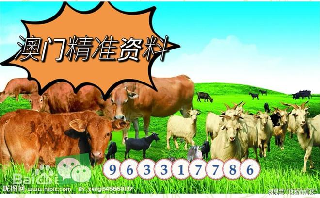今晚特馬生肖必開(kāi)資料,揭秘生肖運(yùn)勢(shì)與預(yù)測(cè)秘密,揭秘生肖運(yùn)勢(shì)預(yù)測(cè),今晚特馬生肖必開(kāi)資料獨(dú)家解析