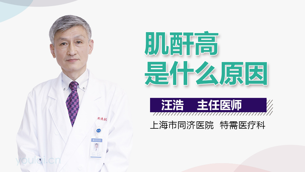肌酐高是什么原因?深入了解背后的因素,肌酐高背后的原因,深入了解與解析