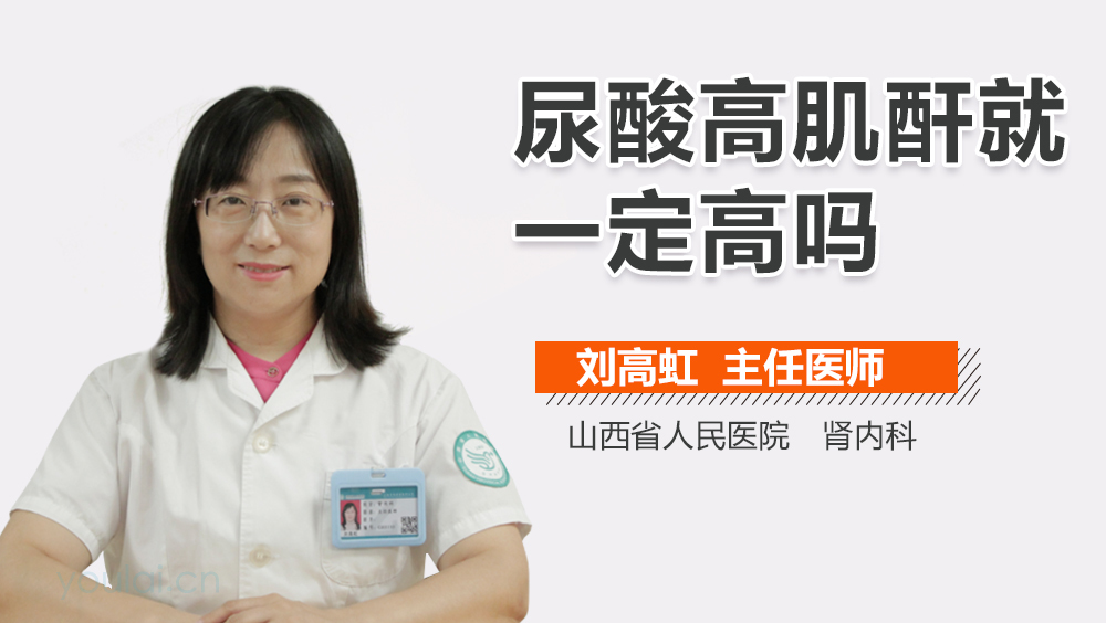 肌酐高是什么原因?深入了解背后的因素,肌酐高背后的原因,深入了解與解析