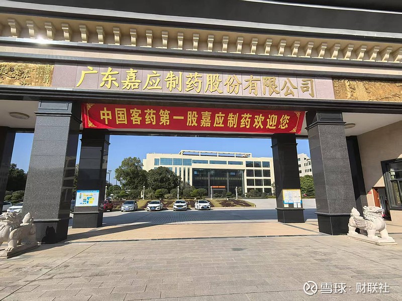 嘉應制藥,傳統與創新的完美結合,嘉應制藥,傳統與創新的和諧融合
