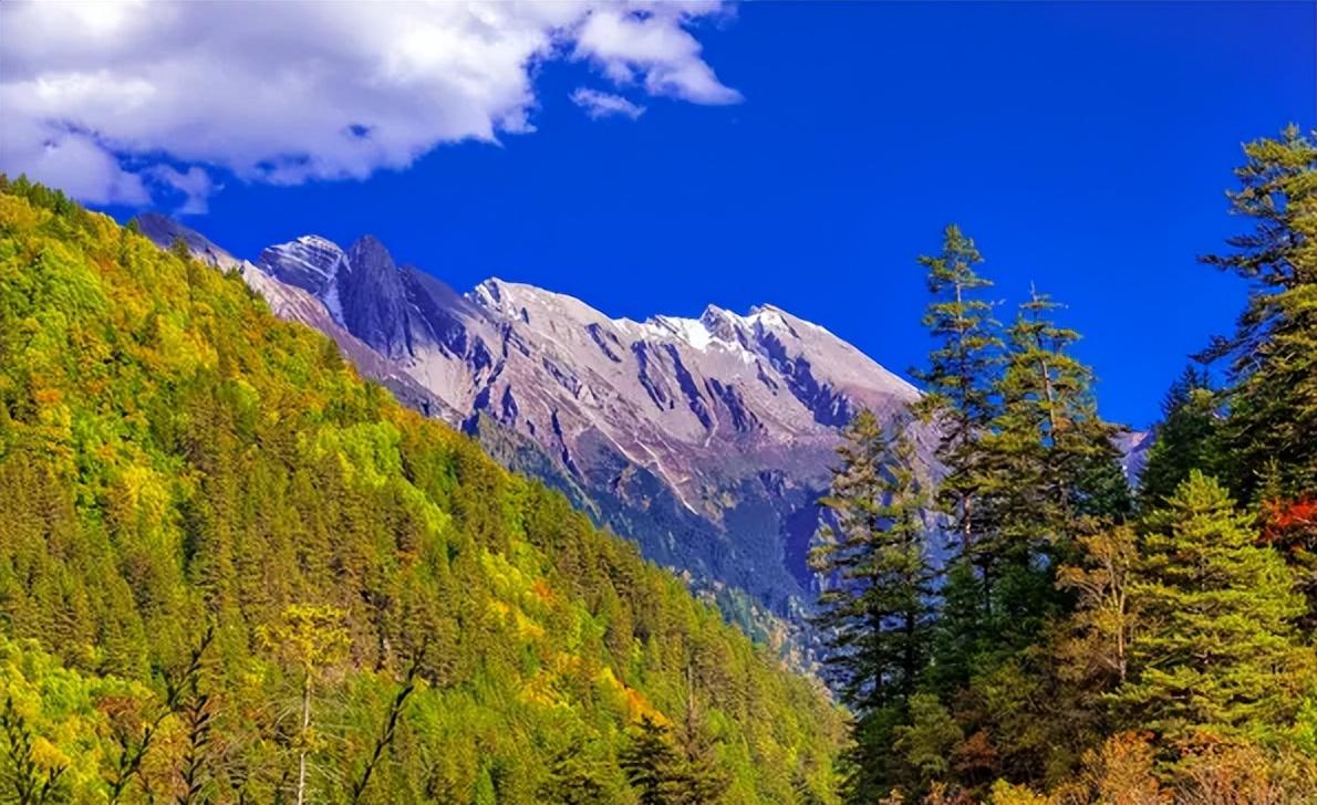 九寨溝詳細(xì)旅游攻略,九寨溝深度游攻略指南