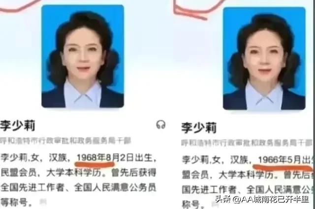 李少莉副局長,一位卓越領導者背后的故事,李少莉副局長,卓越領導背后的故事傳奇