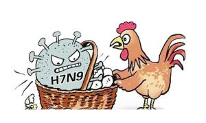 揭秘H7N9病毒,了解它的起源、特性與影響,H7N9病毒揭秘,起源、特性與影響全解析