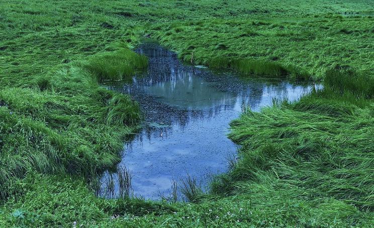 武漢游玩景點推薦——探索古都的韻味與美景,武漢游玩攻略,探尋古都韻味與美景的絕佳地點