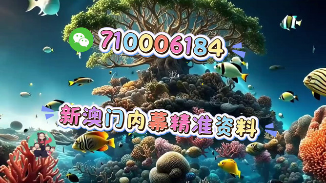 澳門正版生肖圖,探索未來的精準(zhǔn)預(yù)測與生肖運(yùn)勢展望(2025年),澳門正版生肖圖揭秘,未來生肖運(yùn)勢展望與精準(zhǔn)預(yù)測(2025年)