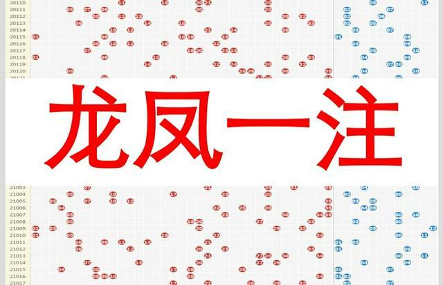王中王080期指一生肖——深度解讀與SEO策略,王中王生肖深度解讀與SEO策略布局指南