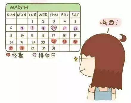 如何確定排卵期是哪幾天,全面解析你的生育周期,全面解析生育周期,如何準確確定排卵期是哪幾天?