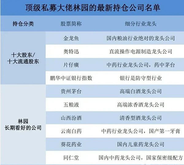 林園最新前十大重倉股票,深度解析與前景展望,林園前十大重倉股票深度解析及前景展望