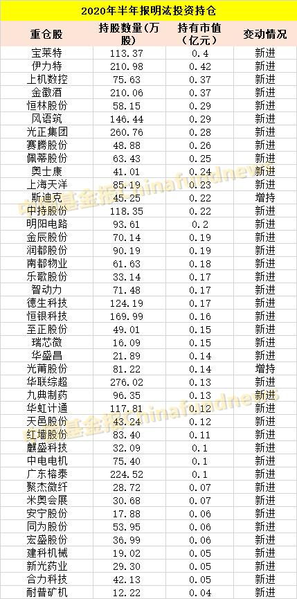 林園最新前十大重倉股票,深度解析與前景展望,林園前十大重倉股票深度解析及前景展望