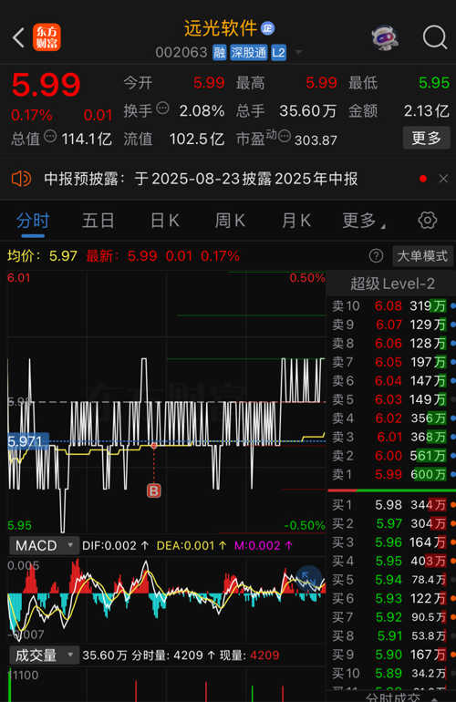遠光軟件股票,投資潛力與市場前景分析,遠光軟件股票,投資潛力與市場前景深度解析