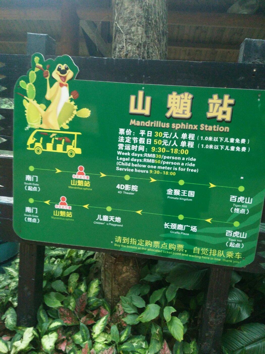廣州長隆動物園門票攻略,一站式解決你的購票疑問,廣州長隆動物園門票攻略,購票疑問一站式解決