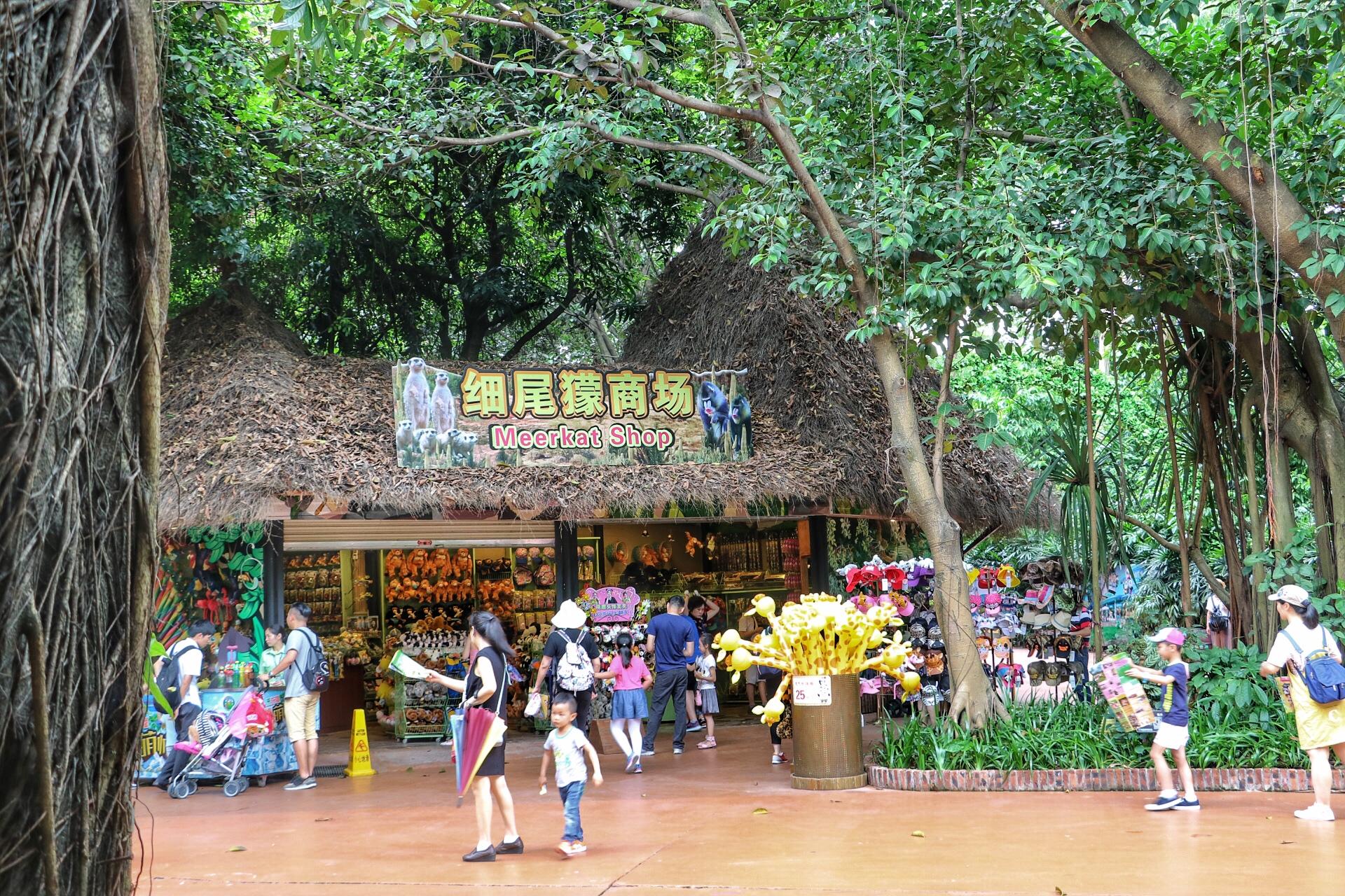 廣州長隆動物園門票攻略,一站式解決你的購票疑問,廣州長隆動物園門票攻略,購票疑問一站式解決