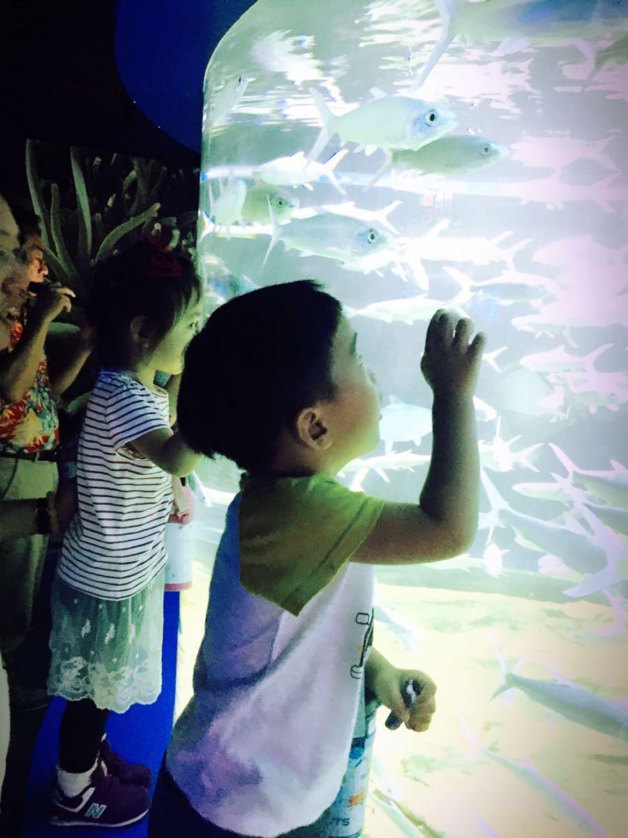 大連兩日游攻略,探索這座城市的魅力,大連兩日游攻略,探尋城市魅力之旅