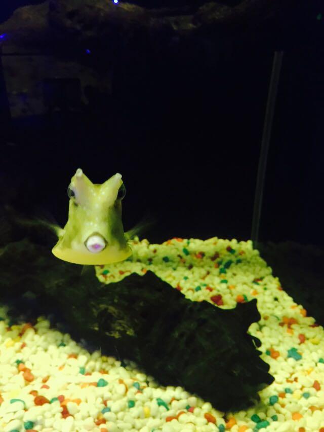 大連兩日游攻略,探索這座城市的魅力,大連兩日游攻略,探尋城市魅力之旅