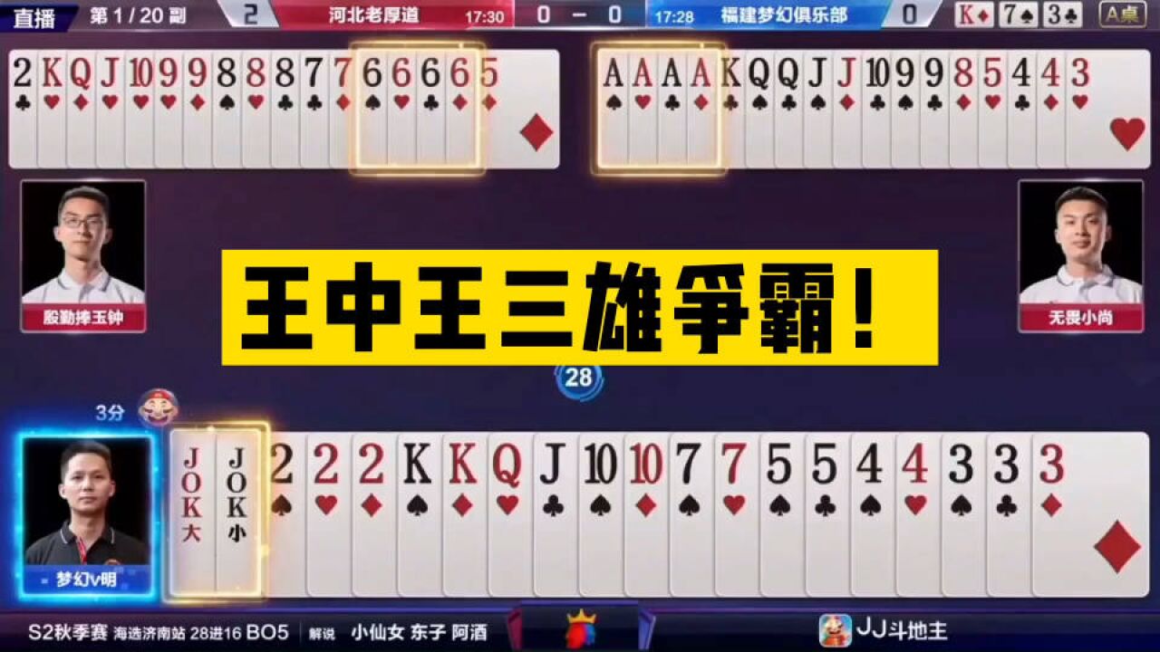 王中王資料與一肖中單雙,深度解析,王中王資料與一肖中單雙深度解析揭秘