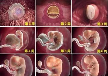 女生胸脹是不是懷孕了?解讀身體信號(hào),了解真相,女生胸脹是否意味著懷孕?身體信號(hào)的真相解讀