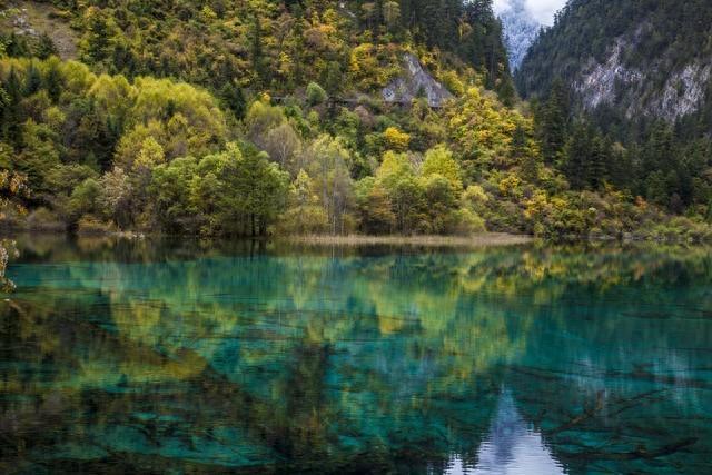 四川九寨溝景區簡介——自然之美的瑰寶,四川九寨溝景區,自然之美的瑰寶簡介