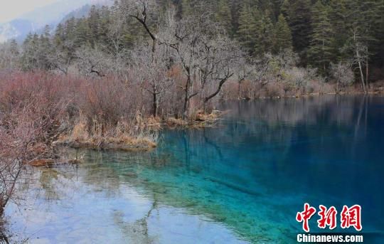 四川九寨溝景區簡介——自然之美的瑰寶,四川九寨溝景區,自然之美的瑰寶簡介